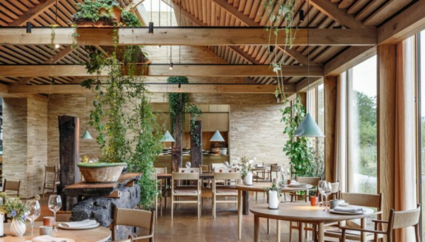 Desain cafe dengan sentuhan Bohemian, warna-warna kaya dan pola yang beragam